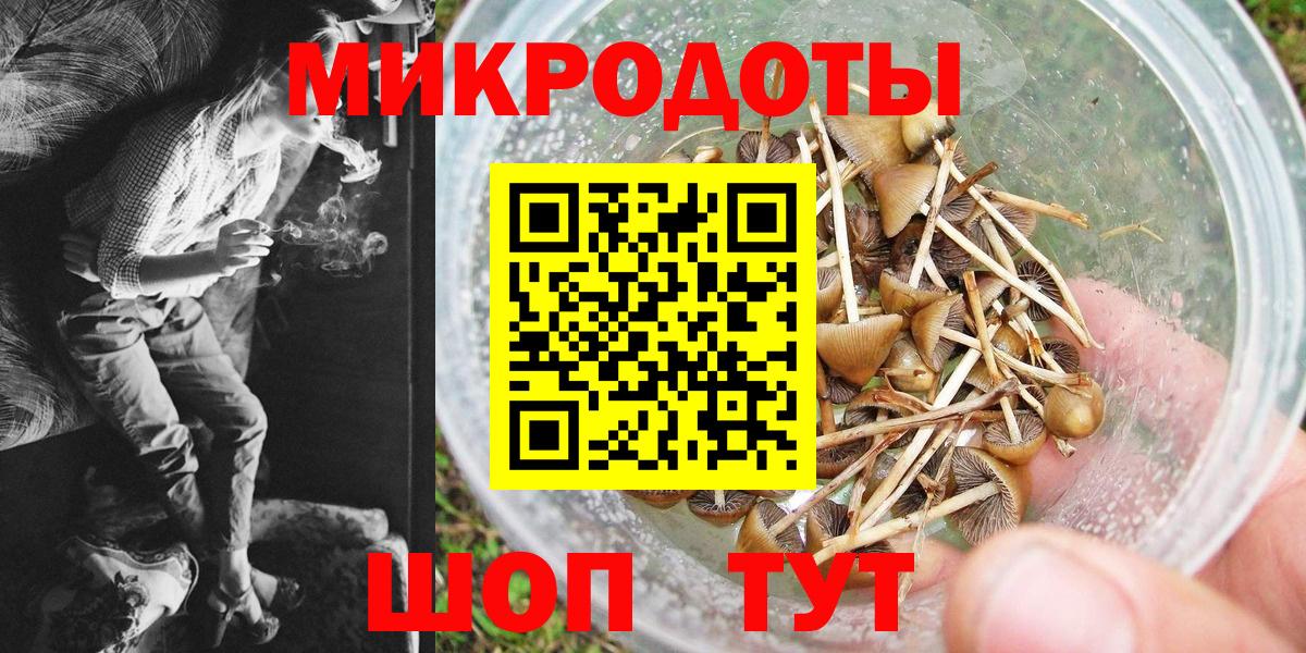 Псилоцибиновые грибы Psilocybine cubensis  Вход с VPN  Гусиноозёрск 
