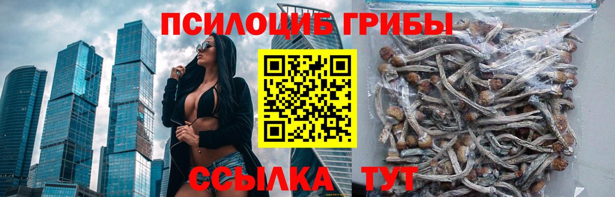 Галлюциногенные грибы прущие грибы Гусиноозёрск